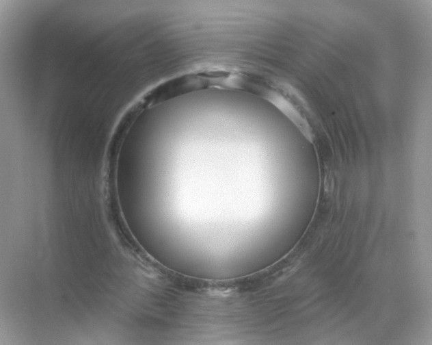 X0000068300388200605122009