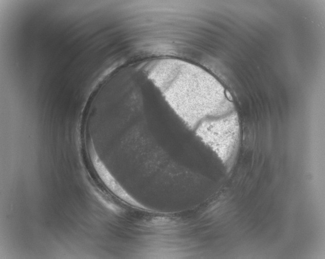 X0000068300390200605122009