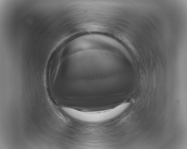 X0000068300391200605122009