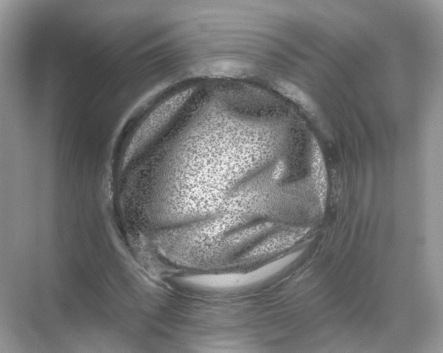 X0000068300392200605122009