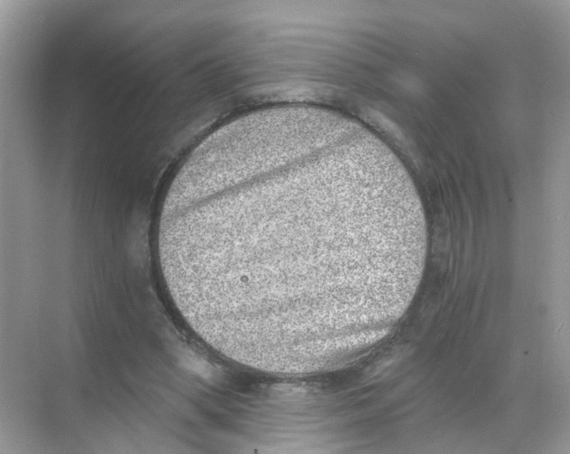 X0000068300394200605122009