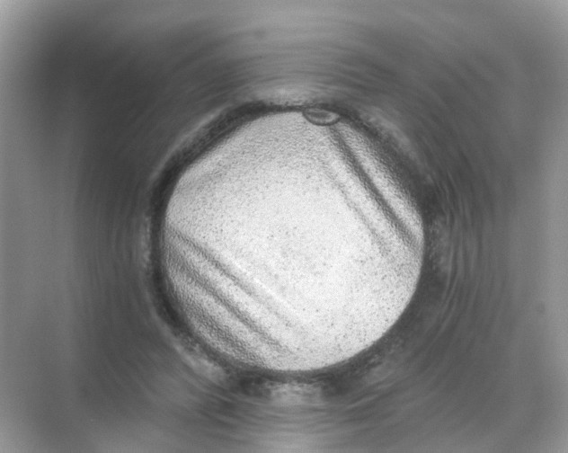 X0000068300400200605122009