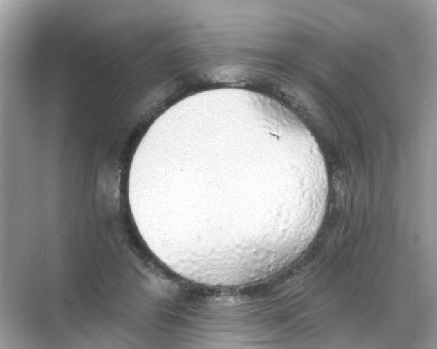 X0000068300404200605122009