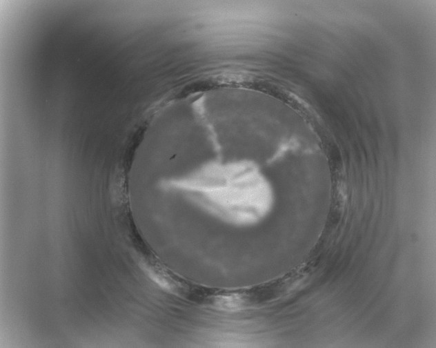 X0000068300411200605122009