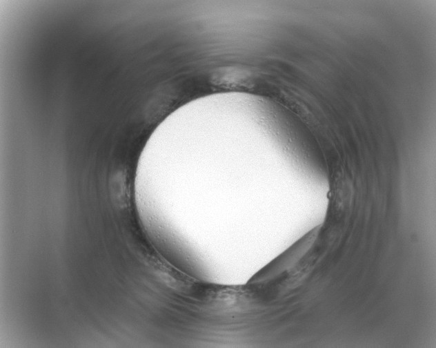 X0000068300420200605122009