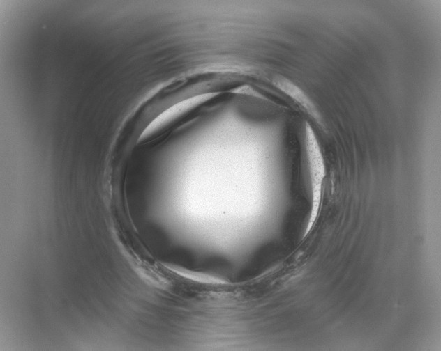 X0000068300436200605122008