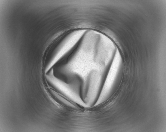 X0000068300437200605122008