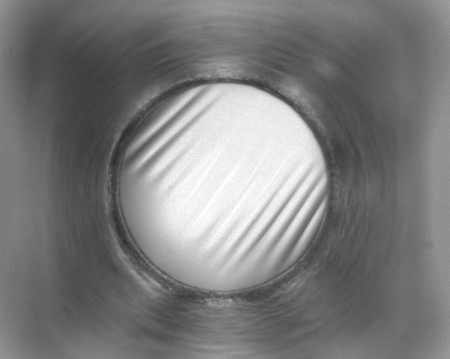 X0000068300439200605122008