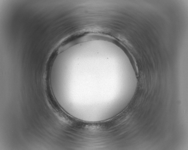 X0000068300440200605122008