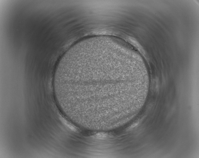 X0000068300441200605122008