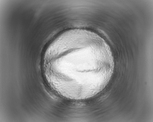 X0000068300443200605122008