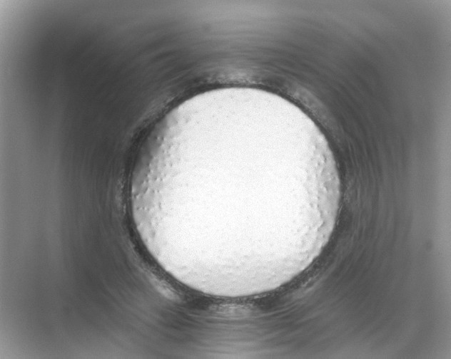 X0000068300449200605122008