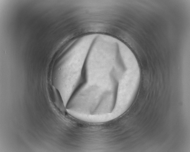 X0000068300482200605122008