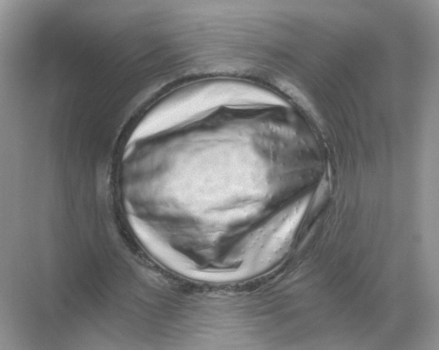 X0000068300483200605122008