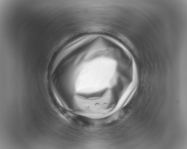 X0000068300485200605122008