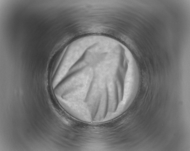X0000068300486200605122008