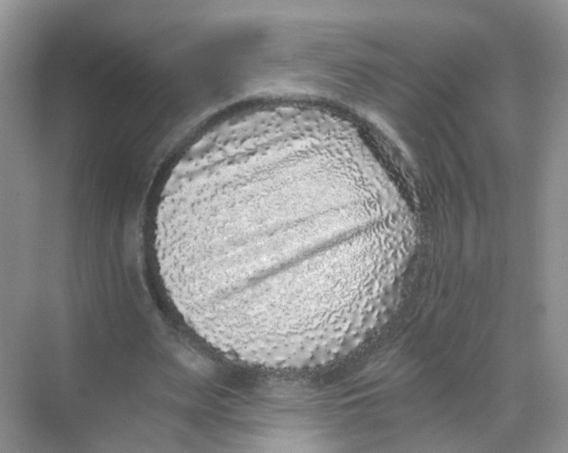 X0000068300487200605122008
