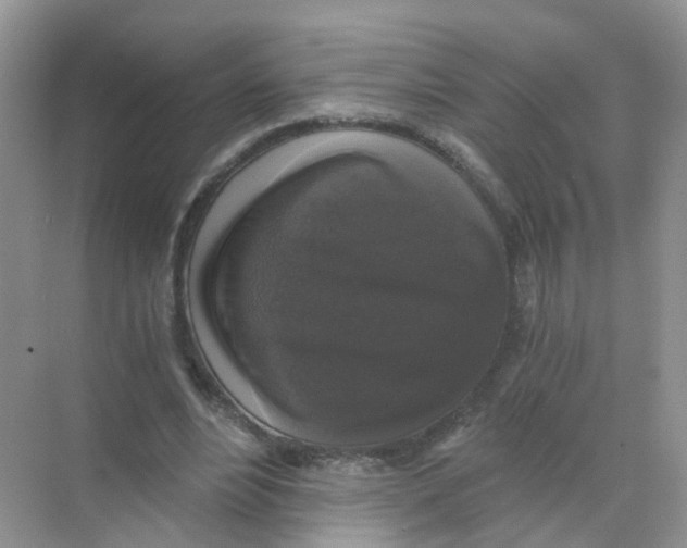 X0000068300488200605122008
