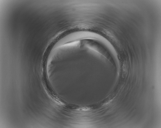 X0000068300492200605122008