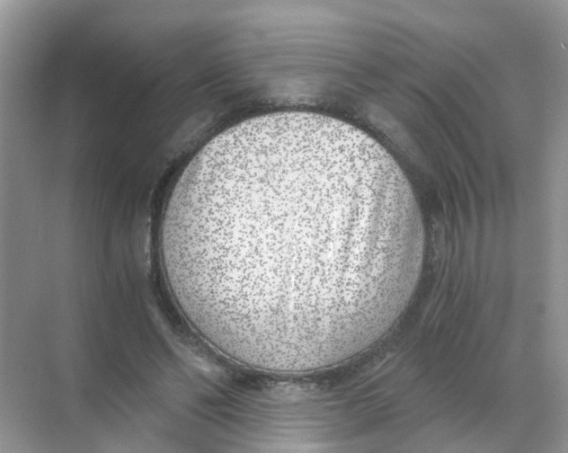 X0000068300494200605122008