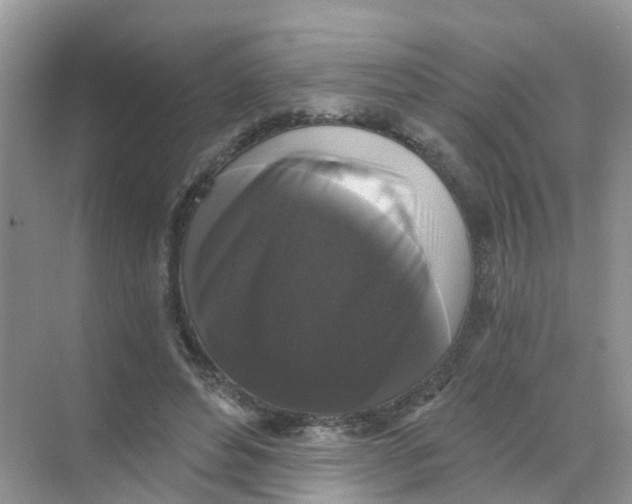 X0000068300496200605122007