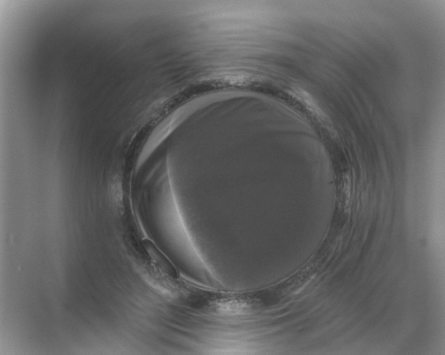 X0000068300500200605122007