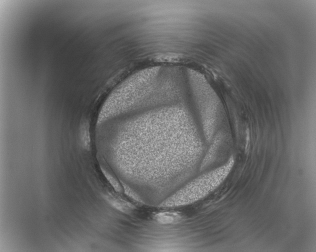 X0000068300508200605122007