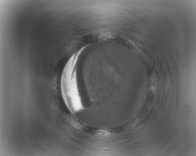 X0000068300519200605122007