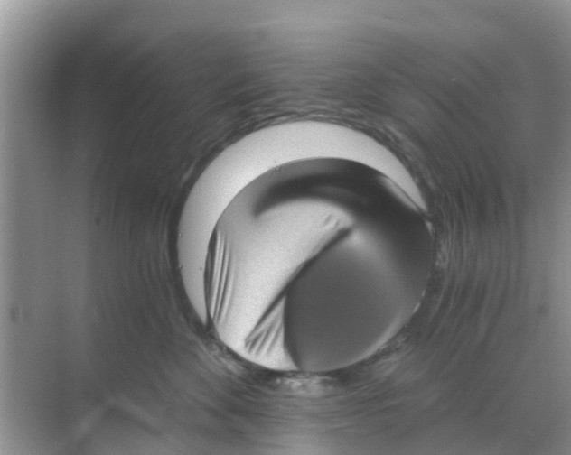 X0000068300524200605122007