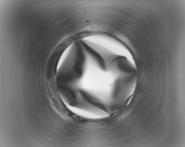 X0000068300530200605122006