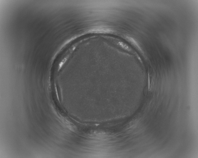 X0000068300531200605122006