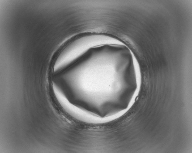 X0000068300532200605122006