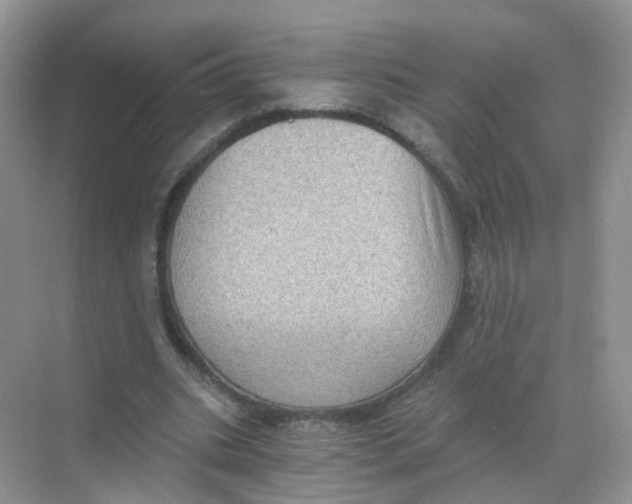 X0000068300535200605122006