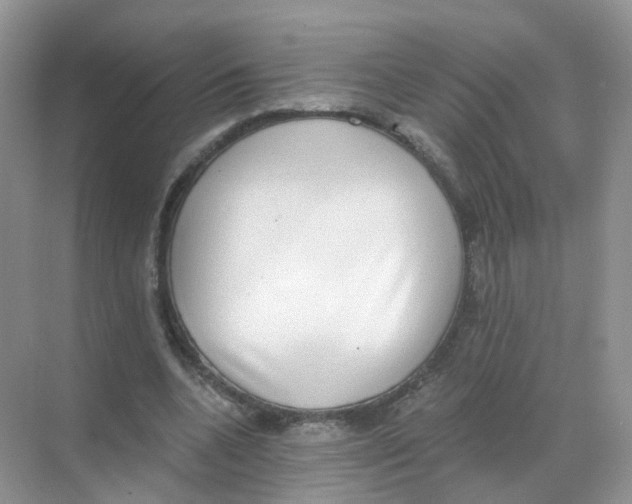 X0000068300536200605122006