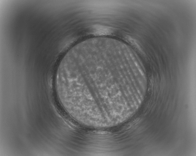 X0000068300539200605122006