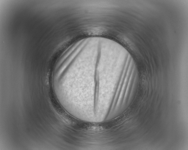 X0000068300543200605122006
