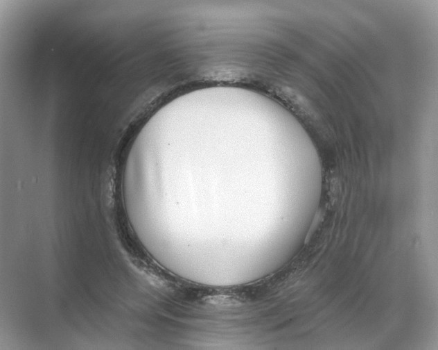 X0000068300544200605122006