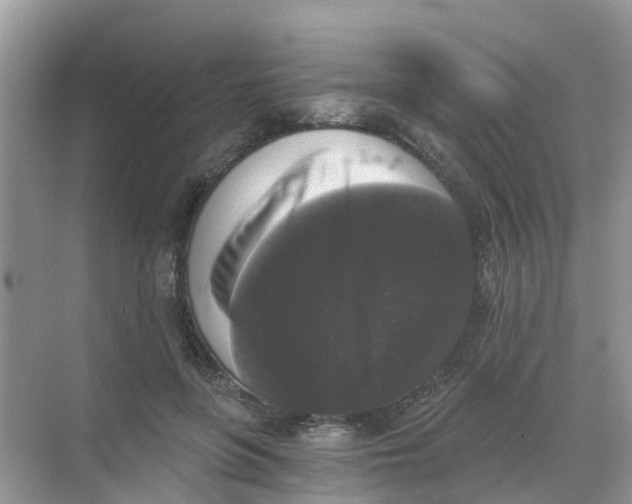 X0000068300551200605122006