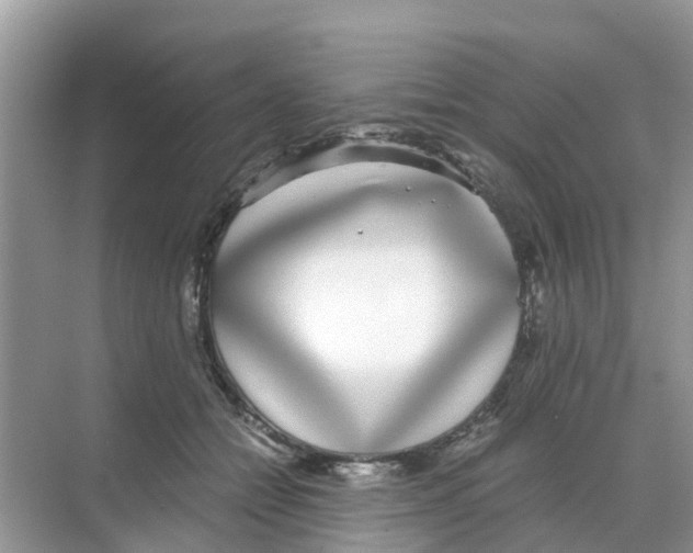 X0000068300558200605122007