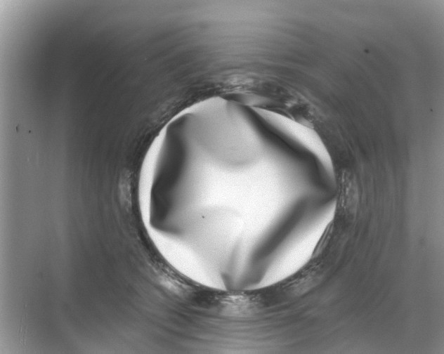 X0000068300562200605122007