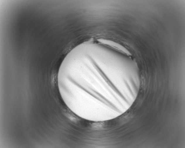 X0000068300574200605122007