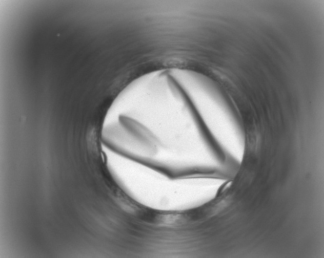 X0000068300575200605122007