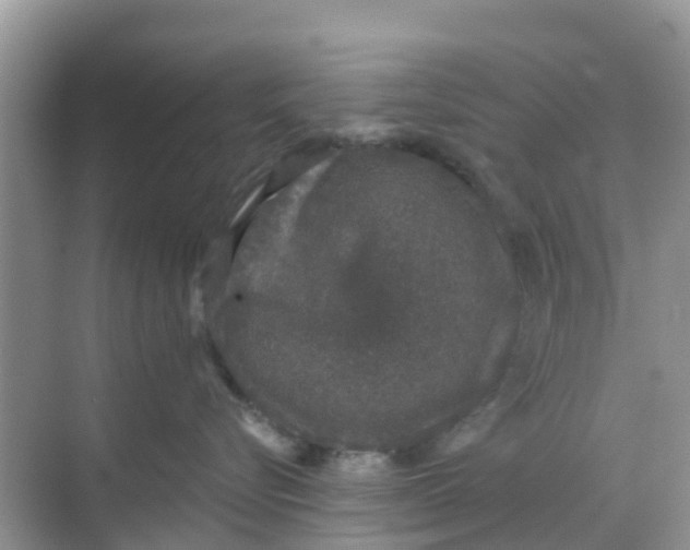 X0000068300576200605122007