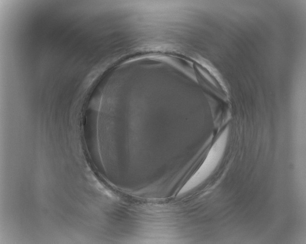 X0000068300577200605122006