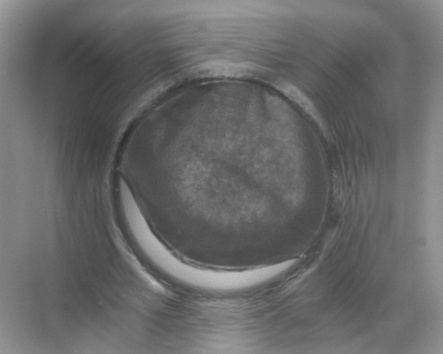 X0000068300581200605122006