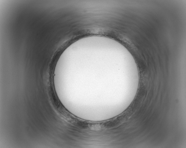 X0000068300587200605122006