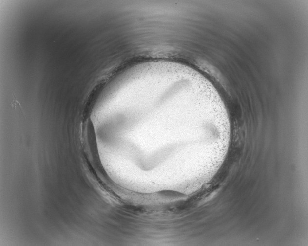 X0000068300589200605122006