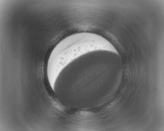 X0000068300590200605122006
