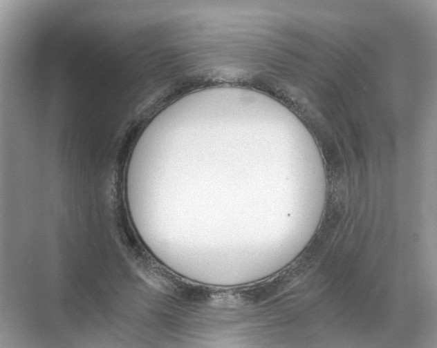 X0000068300591200605122006