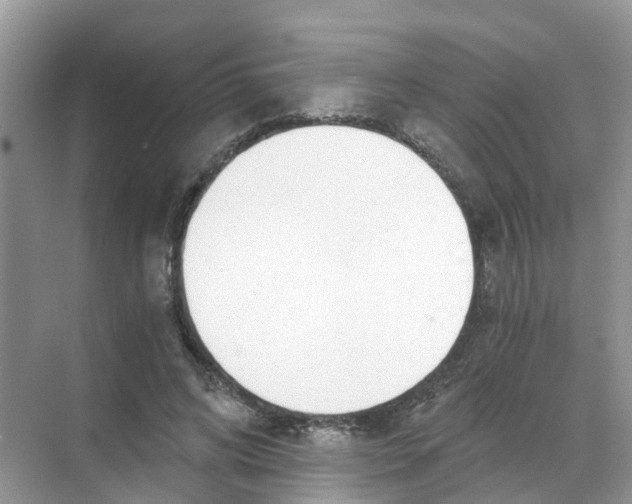 X0000068300592200605122006